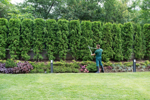 Best Lawn Pest Prevention  in Wantagh, NY