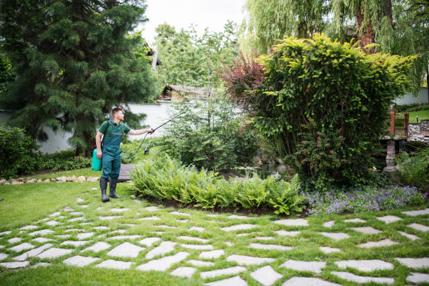 Best Tree Preservation Services  in Wantagh, NY